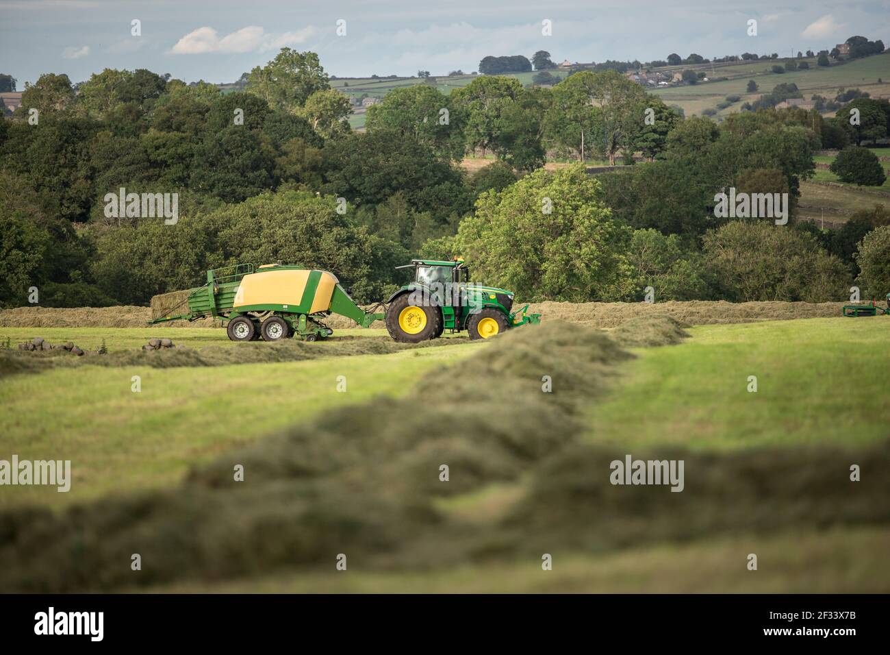 Fauchage et coupe du foin d'ensilage par le tracteur Banque D'Images