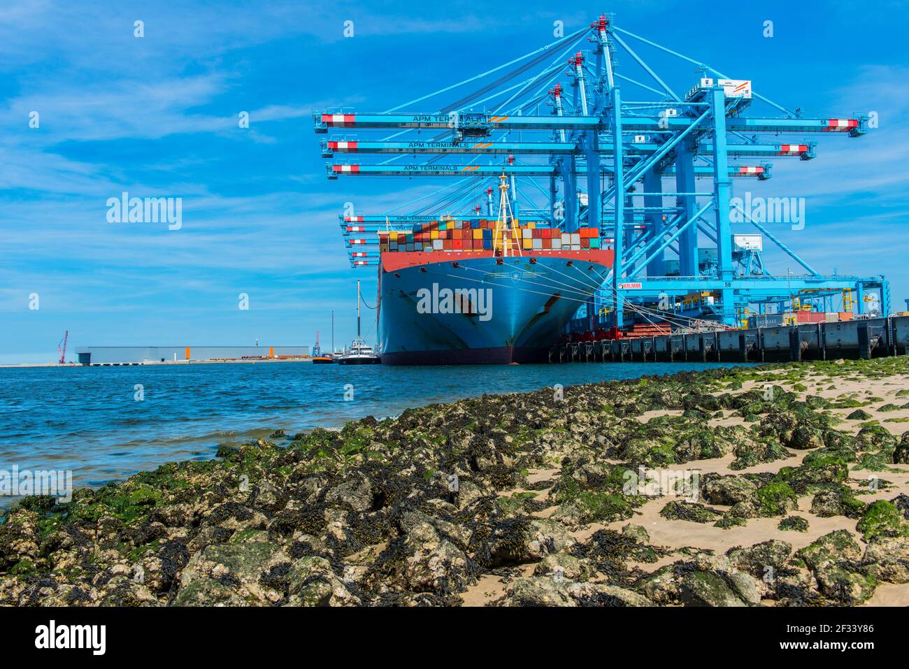 Rotterdam, pays-Bas. Très gros navire à conteneurs et navire amarré aux quais des terminaux APM pour le chargement et le déchargement de marchandises, marchandises et conteneurs à l'intérieur du port de Rotterdam. Banque D'Images