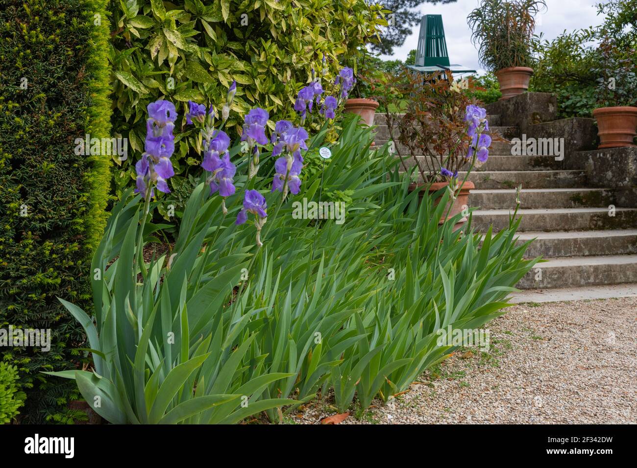 Bois de Boulogne à Paris Banque D'Images