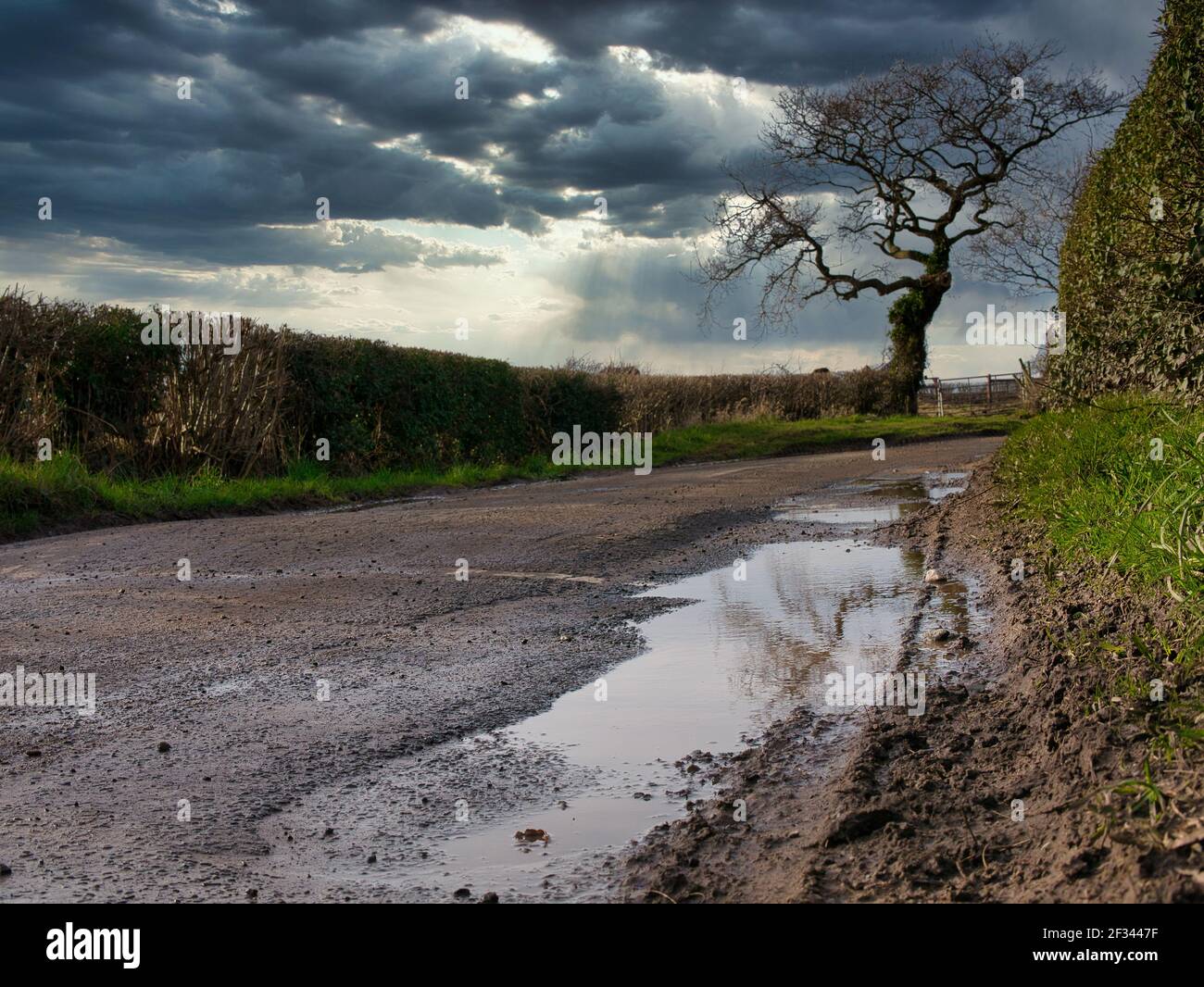 En hiver, de l'eau stagnante dans des trous de pot sur une section endommagée de la voie de campagne dans le nord-ouest du Royaume-Uni. Banque D'Images