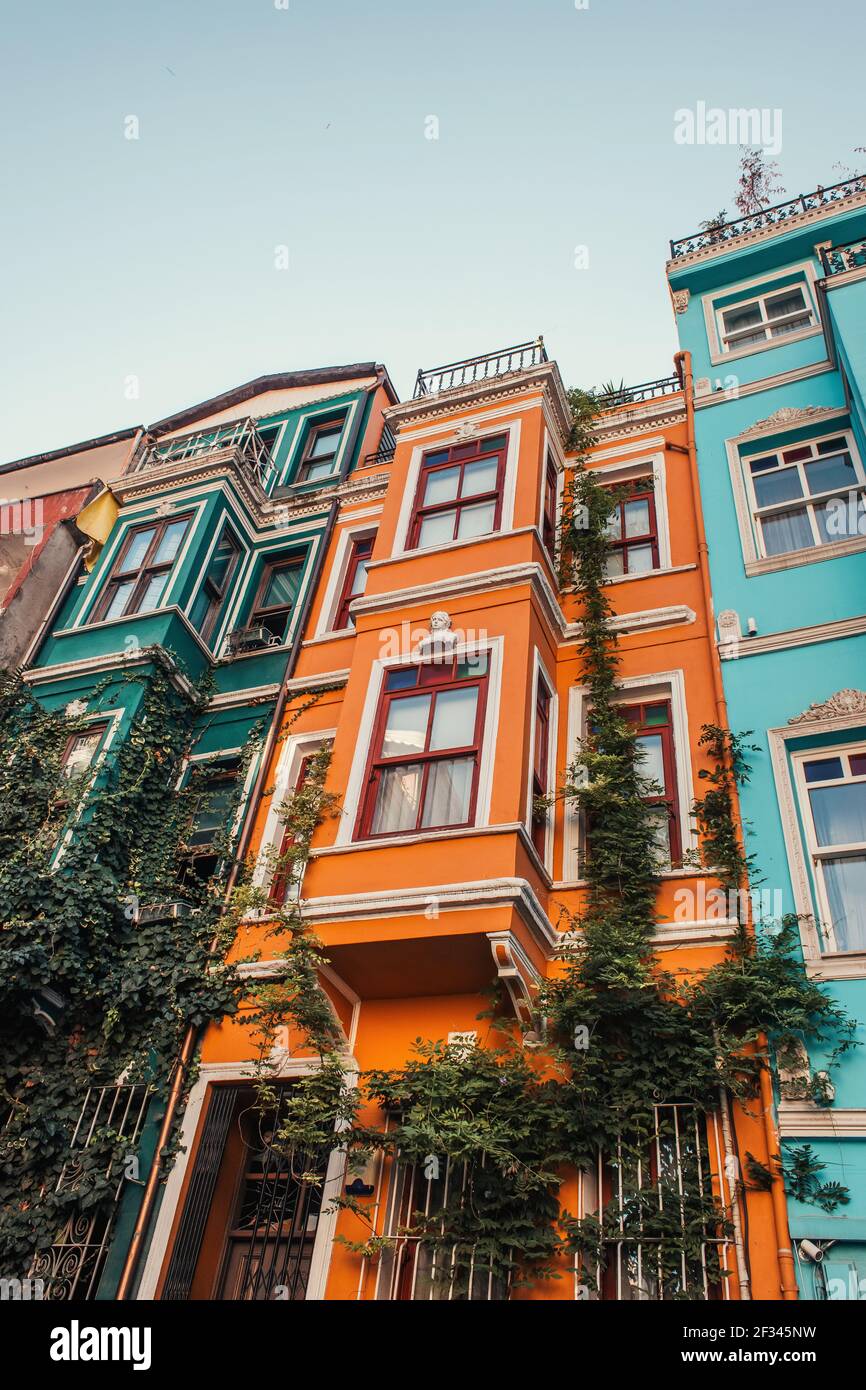 Vue à angle bas des bâtiments multicolores avec ivie verte à Balat, Istanbul, Turquie Banque D'Images