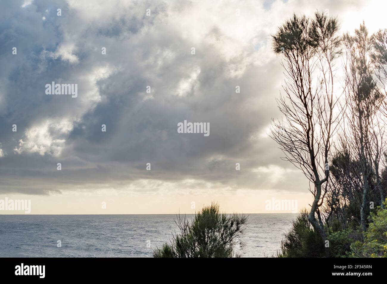 Une scène de nuages cumulous de stormy sombre bas et près À l'océan et le vent balaya les arbres sur le Nouveau Pays de Galles du Sud côte sud de l'Australie Banque D'Images