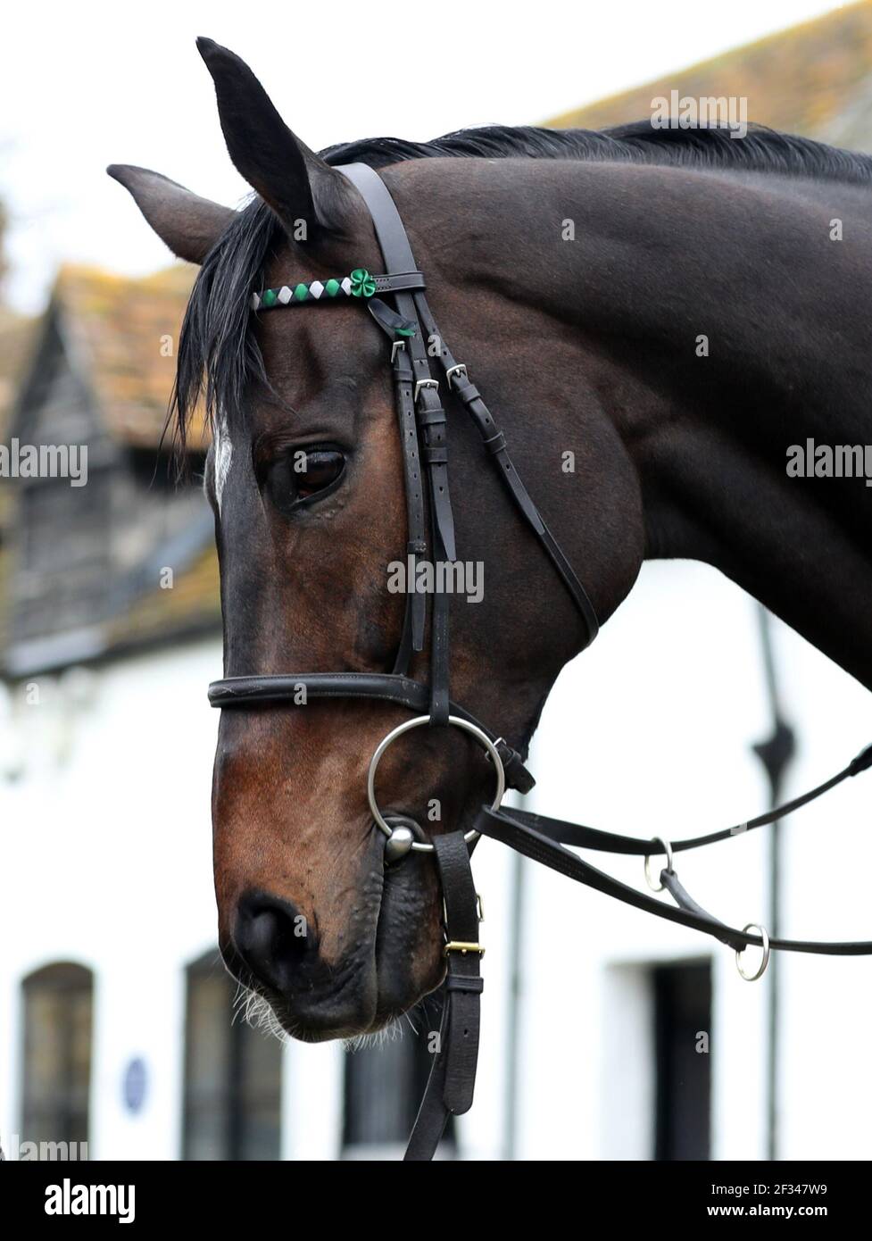 Photo du dossier datée du 17-02-2020 de l'entraîneur Nicky Henderson et Altior. Date de publication : lundi 15 mars 2021. Banque D'Images