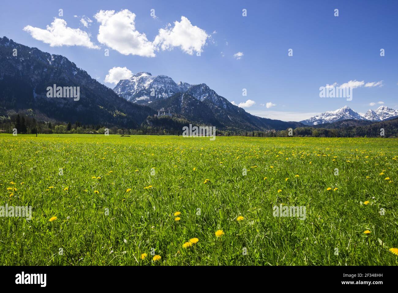 Géographie / voyage, Allemagne, Bavière, Château de Neuschwanstein, Schwangau, Allgaeu est, Allgae, liberté de panorama Banque D'Images