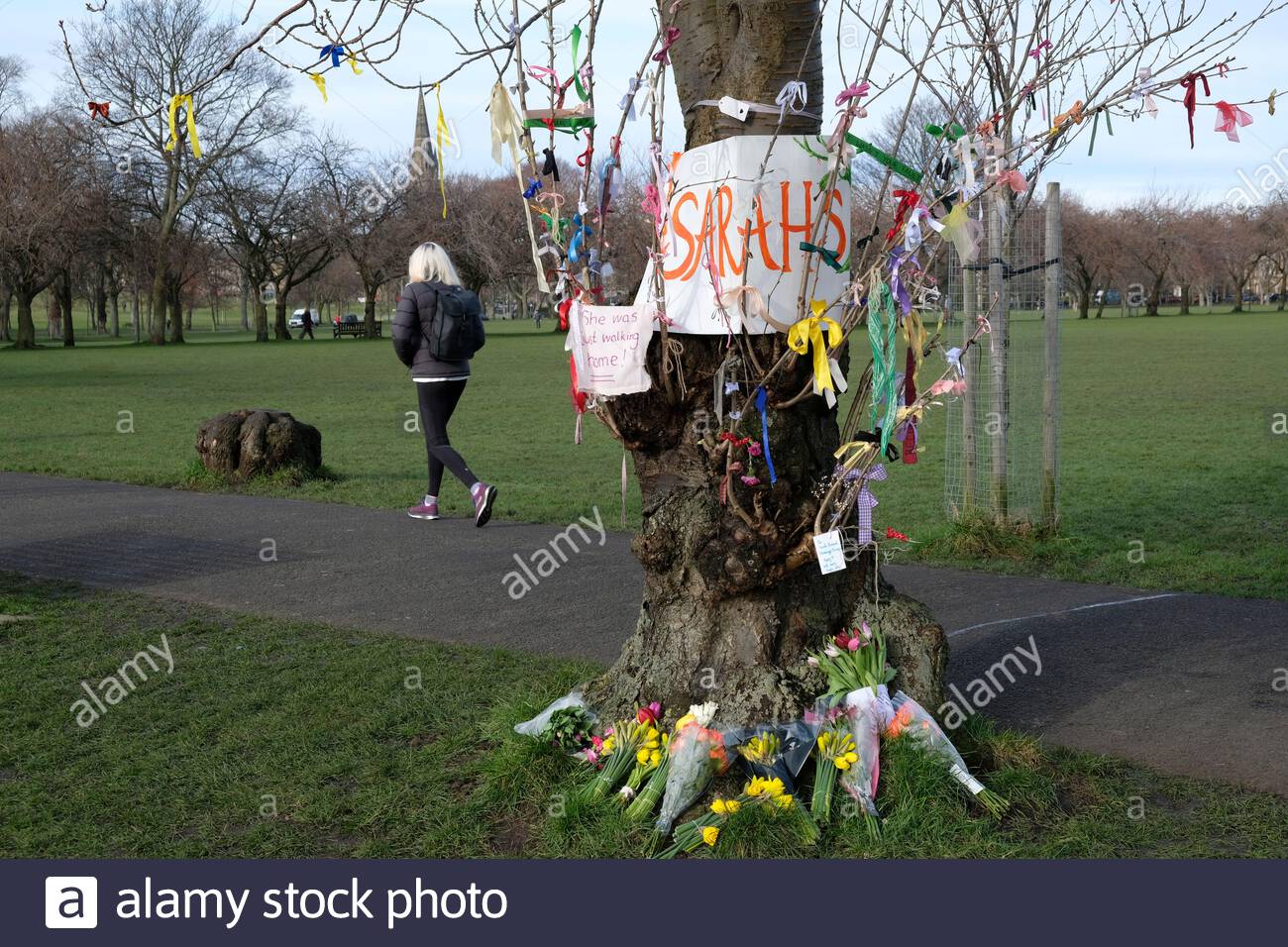 Édimbourg, Écosse, Royaume-Uni. 15 mars 2021. Sarah Everard Memorial créée hier aux Meadows avec des rubans et des messages entourant un vieux arbre. Crédit : Craig Brown/Alay Live News Banque D'Images