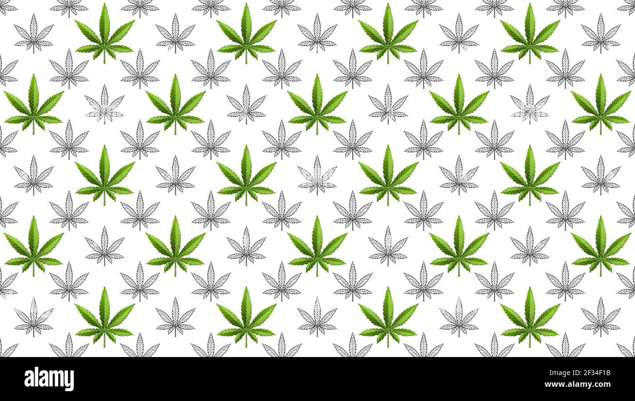 La marijuana ou le cannabis feuille de mauvaise herbe modèle sans couture Illustration de Vecteur