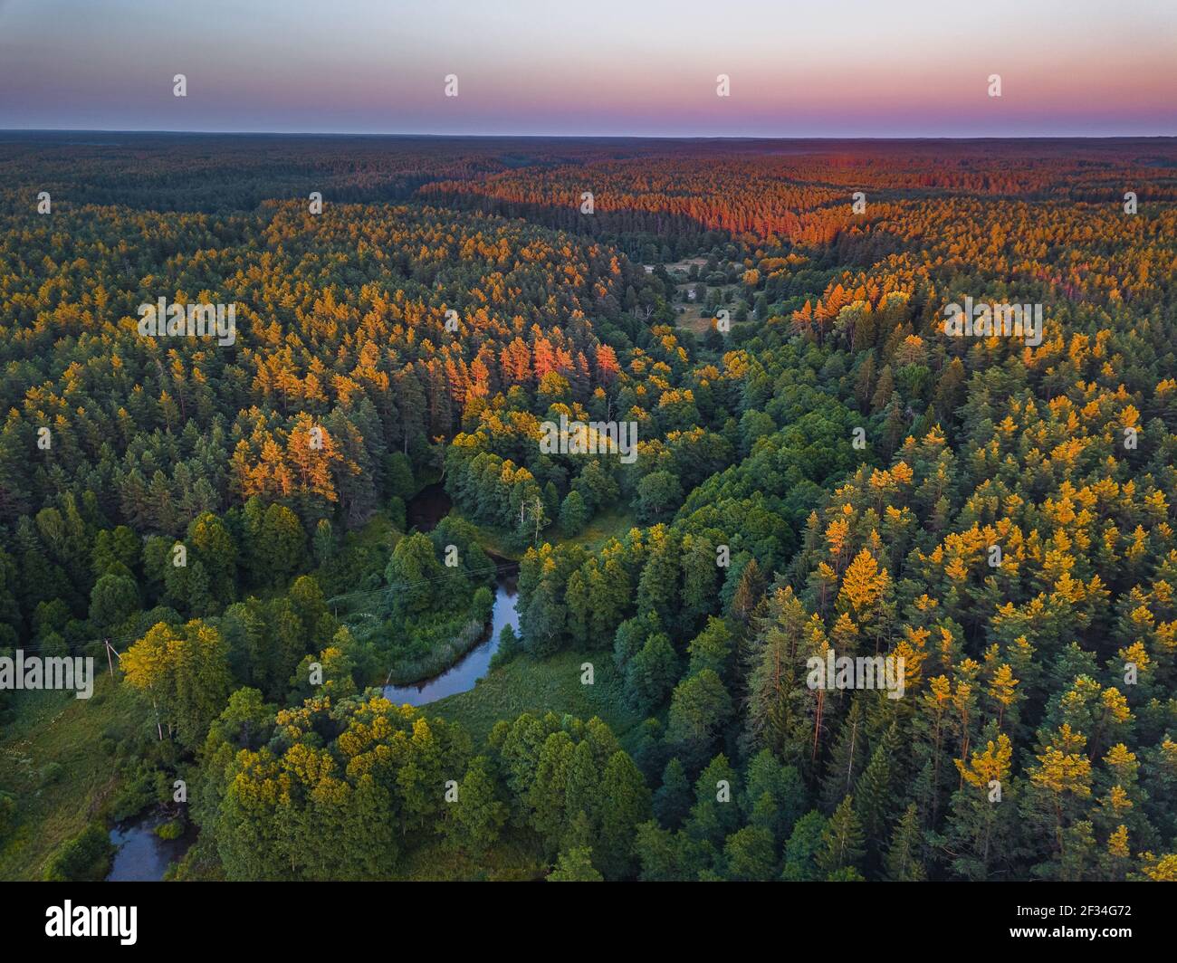 La lumière de l'été soleil Vue aérienne des forêts Banque D'Images
