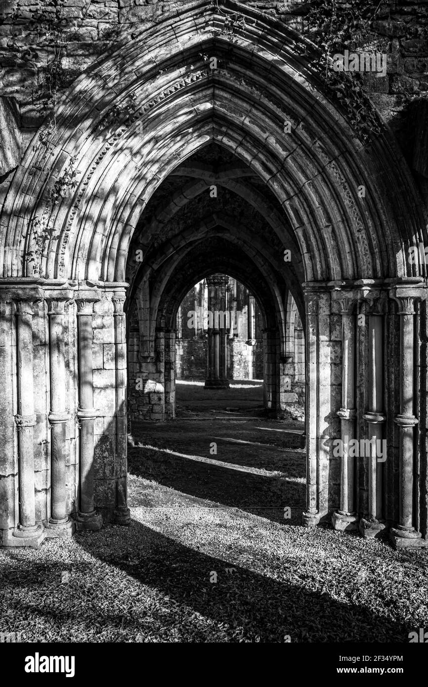 Les ruines de l'abbaye de Margam, le parc national de Margam, la Maison du Chapitre. Neath Port Talbot, pays de Galles, Royaume-Uni. Photo en noir et blanc. Banque D'Images