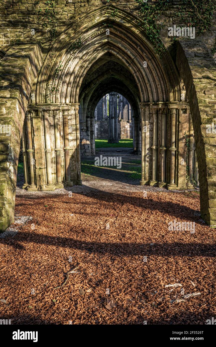 Les ruines de l'abbaye de Margam, le parc national de Margam, la Maison du Chapitre. Neath Port Talbot, pays de Galles, Royaume-Uni Banque D'Images