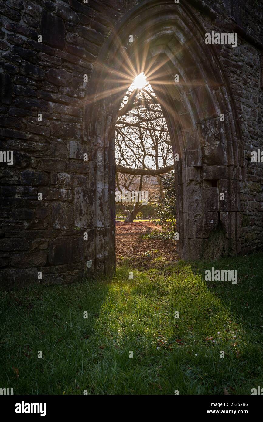 Les ruines de l'abbaye de Margam, le parc national de Margam, la Maison du Chapitre. Neath Port Talbot, pays de Galles, Royaume-Uni Banque D'Images