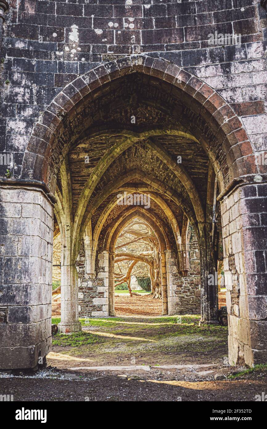 Les ruines de l'abbaye de Margam, le parc national de Margam, la Maison du Chapitre. Neath Port Talbot, pays de Galles, Royaume-Uni Banque D'Images