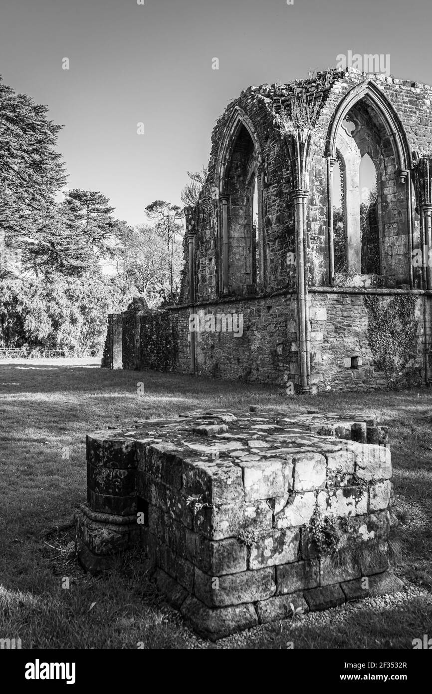 Les ruines de l'abbaye de Margam, le parc national de Margam, la Maison du Chapitre. Neath Port Talbot, pays de Galles, Royaume-Uni. Photo en noir et blanc. Banque D'Images
