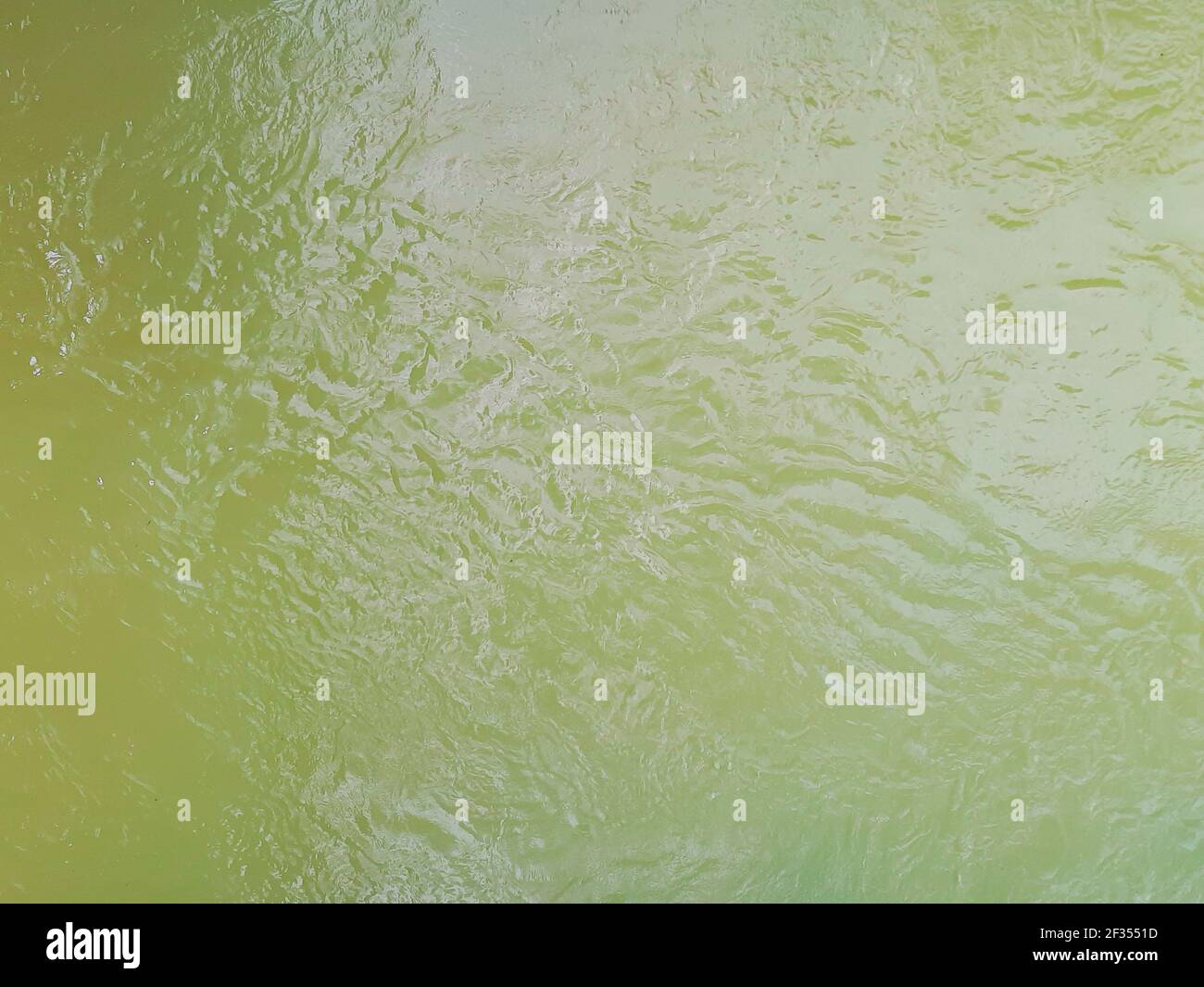 Vue en grand angle depuis l'eau de la rivière verte tropicale avec vagues fluides et réflexion. Fond vert plein format avec espace de copie plein format. Banque D'Images