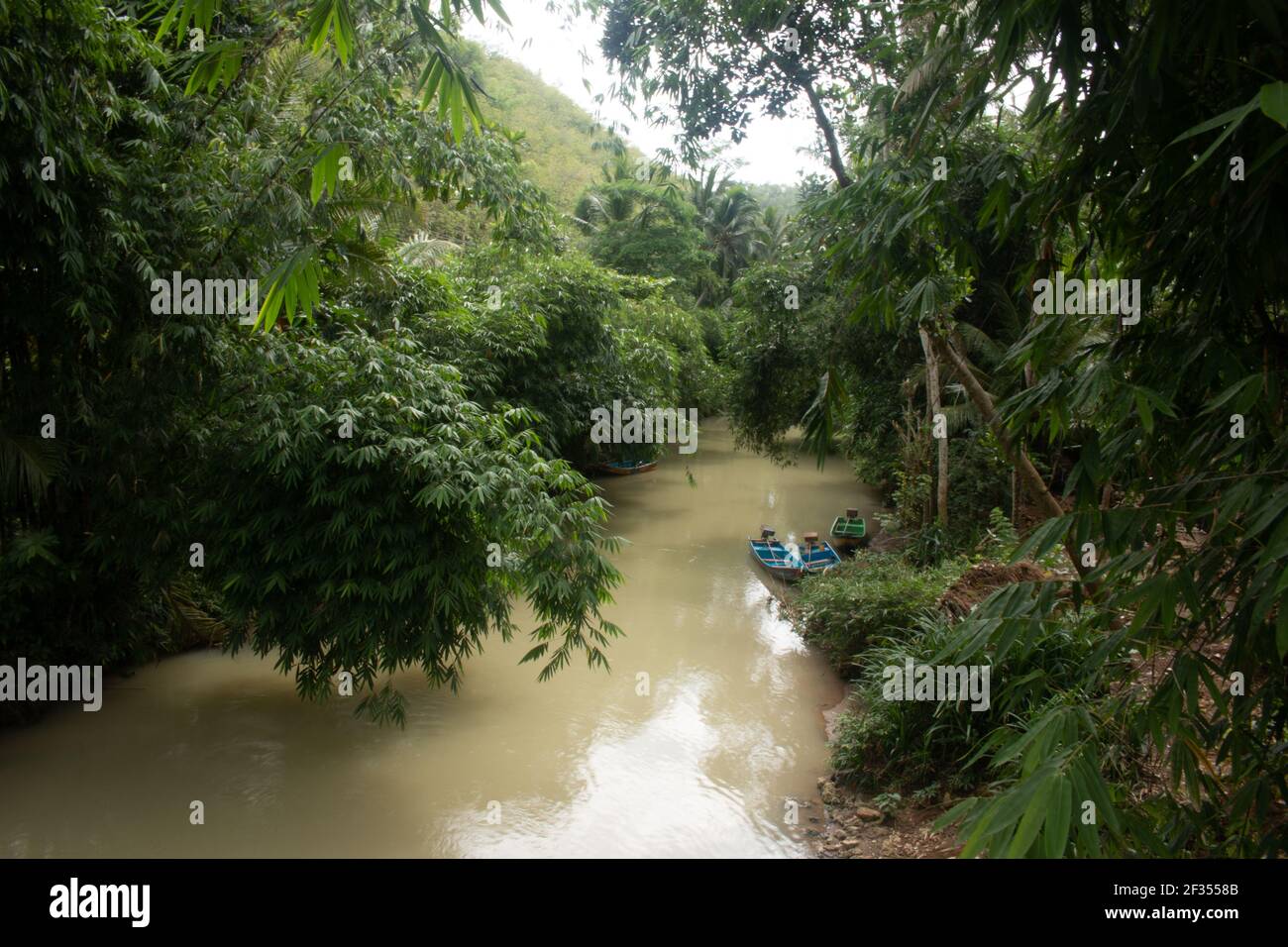 Une rivière marron vert flanquée d'arbres de forêt tropicale à Gunung Kidul sur Java, Indonésie avec de petits bateaux à moteur de pêcheur, Banque D'Images