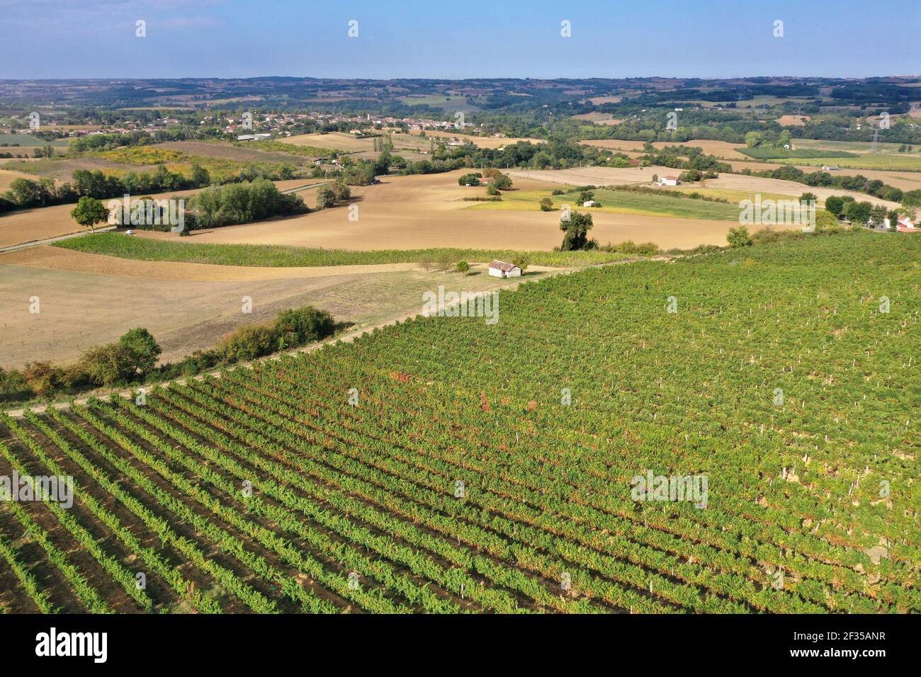 Astaffort (sud-ouest de la France) : paysage rural avec champs cultivés et vignes, vignoble AOC Brullois (PDO) Banque D'Images