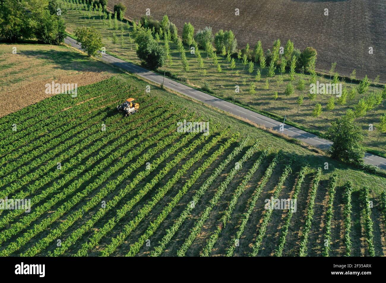 Montpezat-de-Quercy (sud de la France) : vue aérienne des vignes, vignoble AOC Coteaux du Quercy (PDO). Véhicule agricole au milieu des vignes Banque D'Images