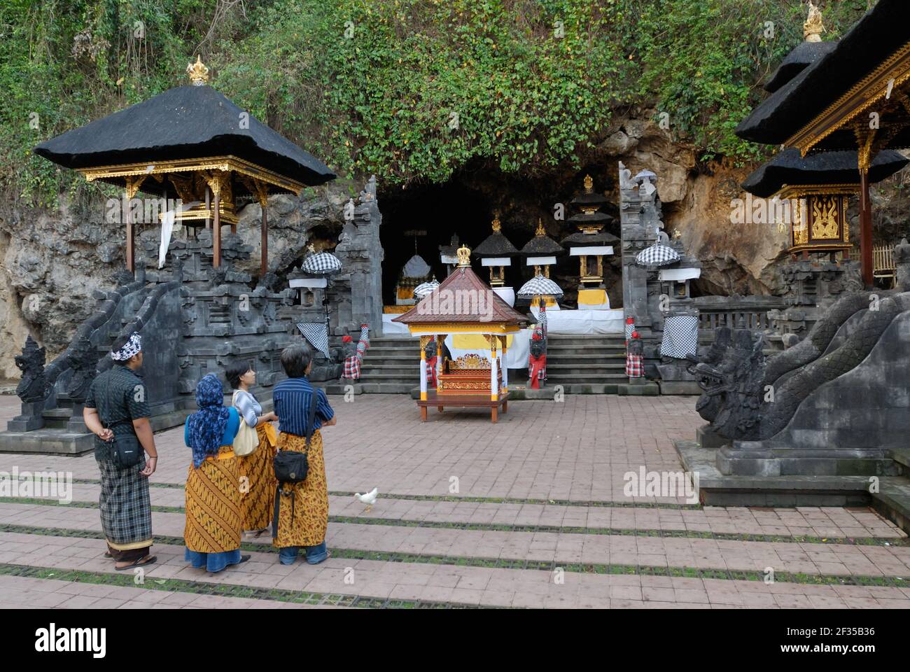 CHAUVES-SOURIS GEOFFREYS ROUSETTE (ROUSETTUS AMPLEXICAUSDATUS) ACCROCHÉES DANS LA GROTTE SACRÉE DE GOA LAWAH, BALI, INDONÉSIE Banque D'Images