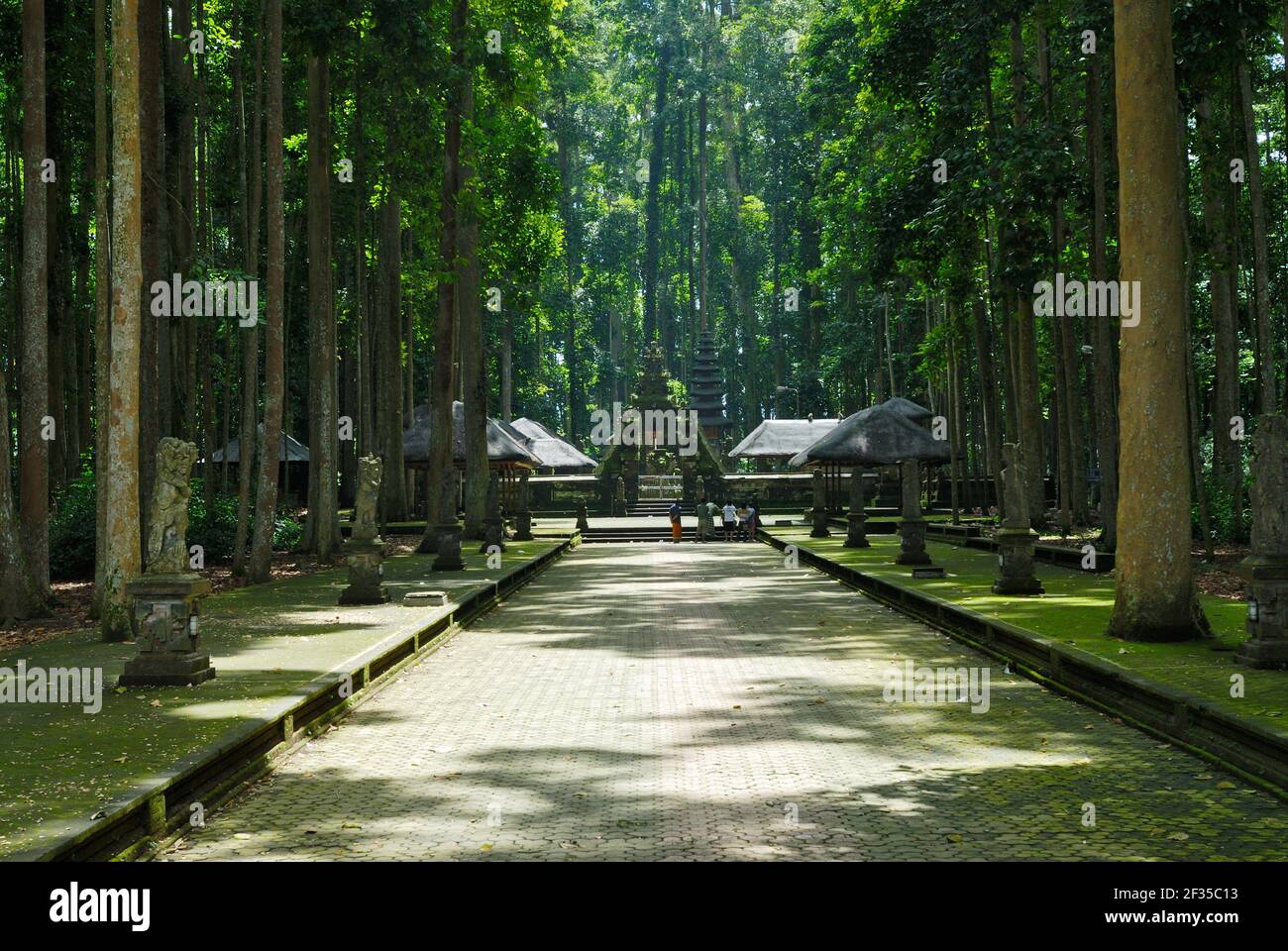 Sangeh, Pura Bukit Sari Temple; Temple des singes; Bali, Indonésie Banque D'Images