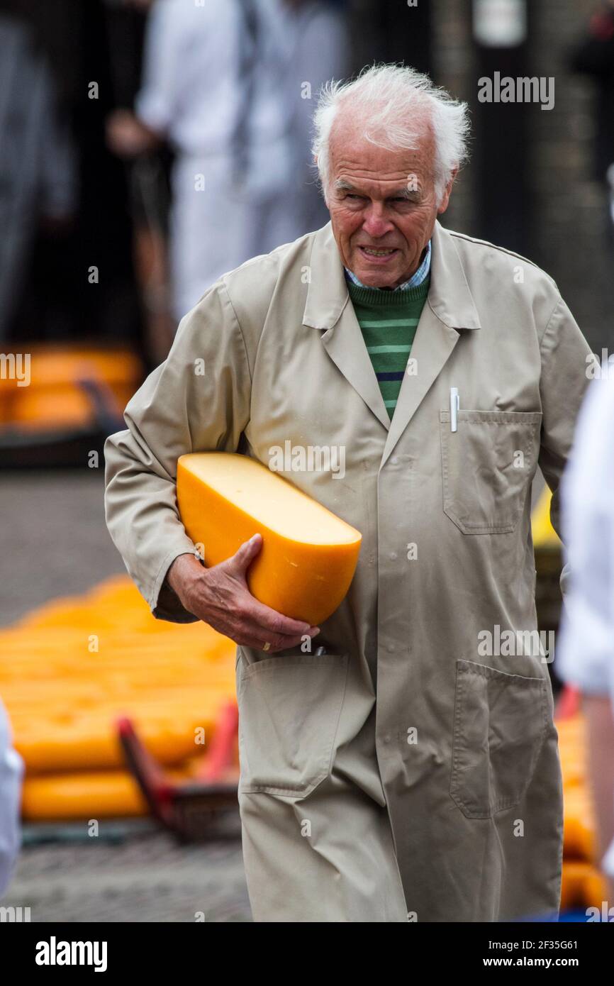 Test d'un inspecteur de Fromage Fromage Roue, Alkmaar, Pays-Bas Banque D'Images