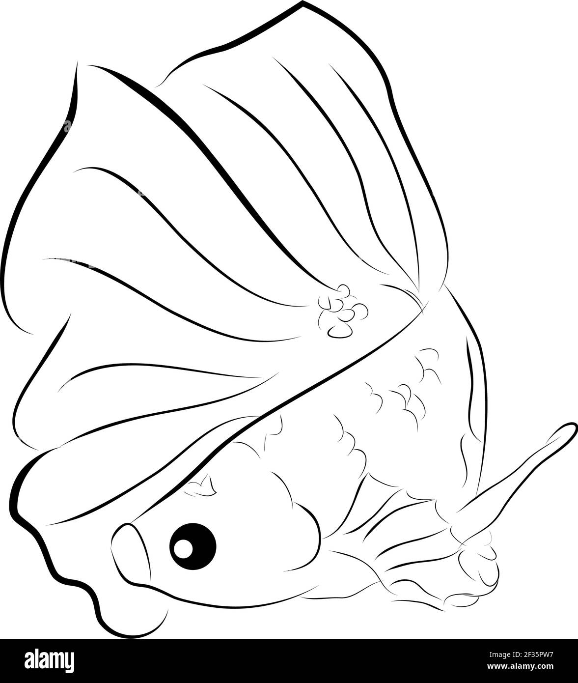Outline Vector Betta ou siamese Fighting Fish , sur fond blanc Illustration de Vecteur