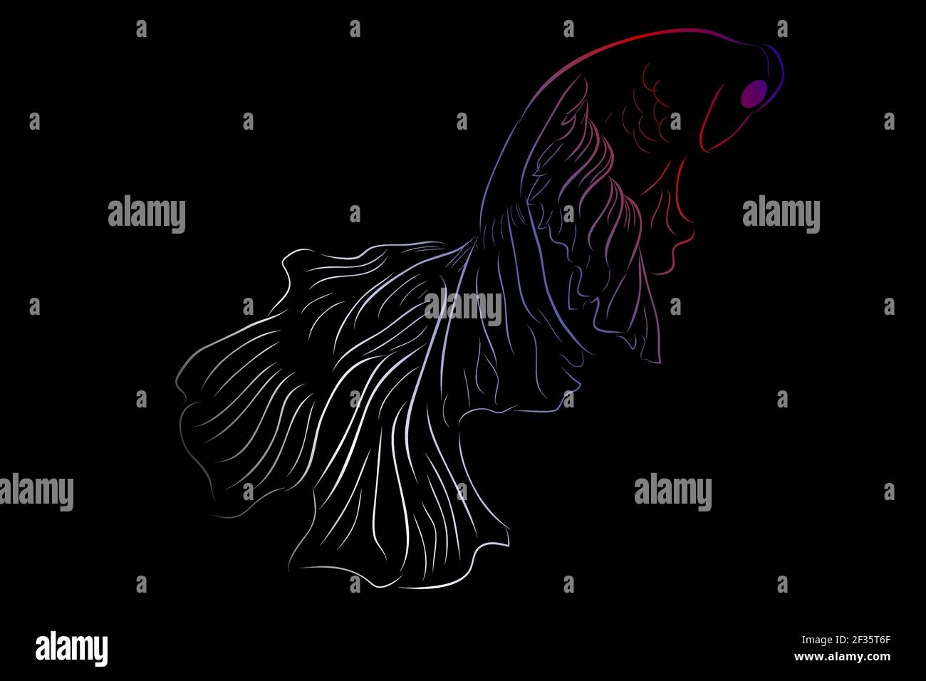 Outline Vector Betta ou siamois Fighting Fish, Giant Half Moon, sur fond blanc Illustration de Vecteur