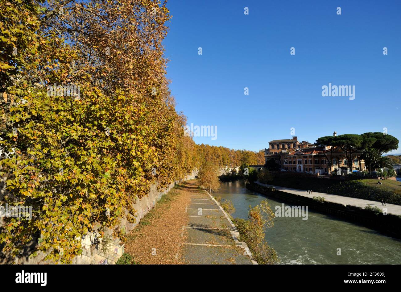 Italie, Rome, rivière Tibre, arbres d'automne et Isola Tiberina Banque D'Images