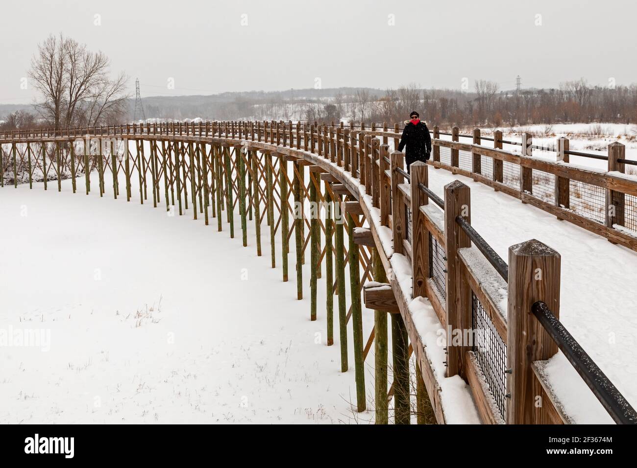Grand Rapids, Michigan - Susan Newell, 72 ans, traverse un pont au-dessus d'un lac gelé lors d'une journée d'hiver à Millennium Park. Le parc de 1400 hectares est l'un des Banque D'Images