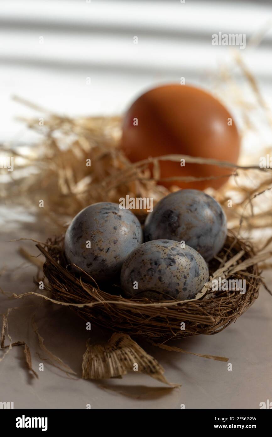 Trois petits œufs bleus dans le nid avec un gros Oeuf de Pâques avec le foin Banque D'Images