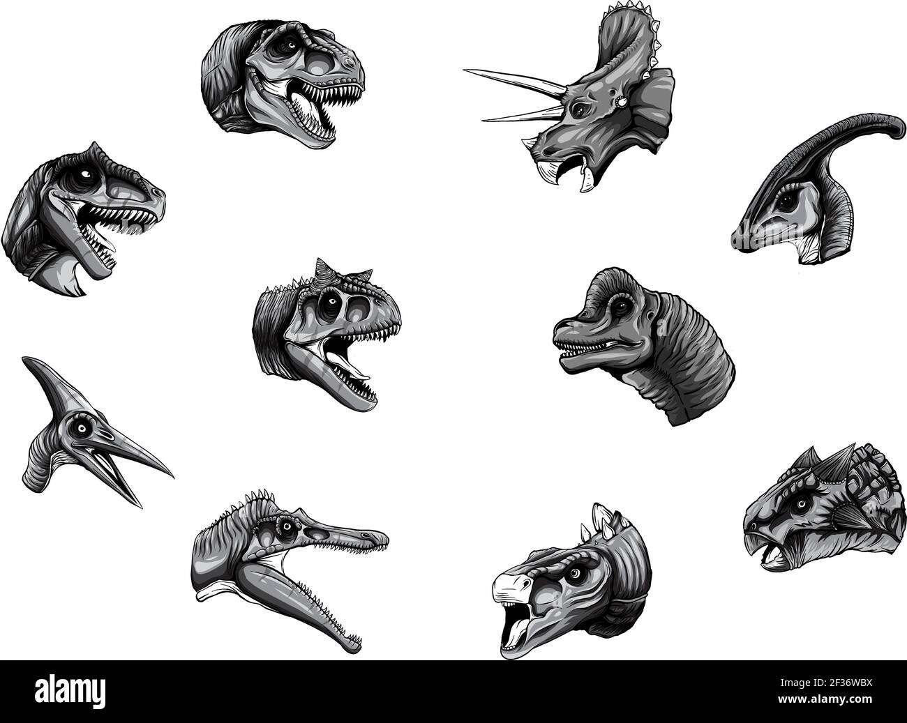 collection monochromatique de tête de dinosaure, avec vecteur de couleurs mignonnes Illustration de Vecteur