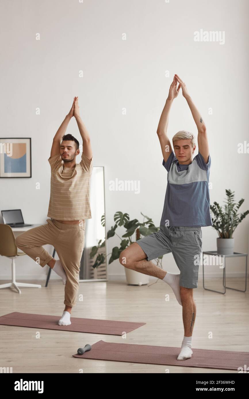 Portrait vertical complet de deux jeunes hommes méditant à à la maison tout en s'équilibrant avec les yeux fermés pendant l'exercice de yoga Banque D'Images