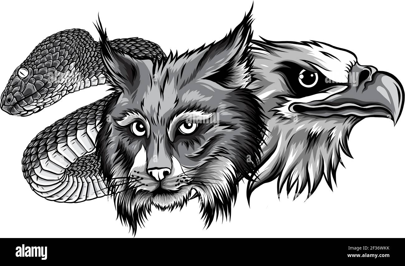 C'est une mascotte monochromatique de têtes de serpent de lynx d'aigle Illustration de Vecteur