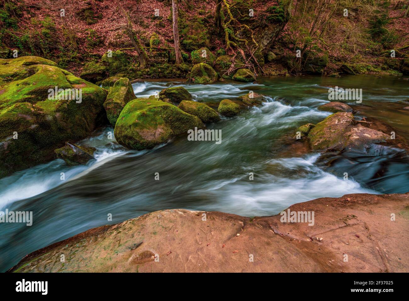 Les rapides dans les tronçons inférieurs du Prüm près d'Irrel dans l'Eifel, Allemagne. Les cascades d'Irrel du Prüm. Banque D'Images
