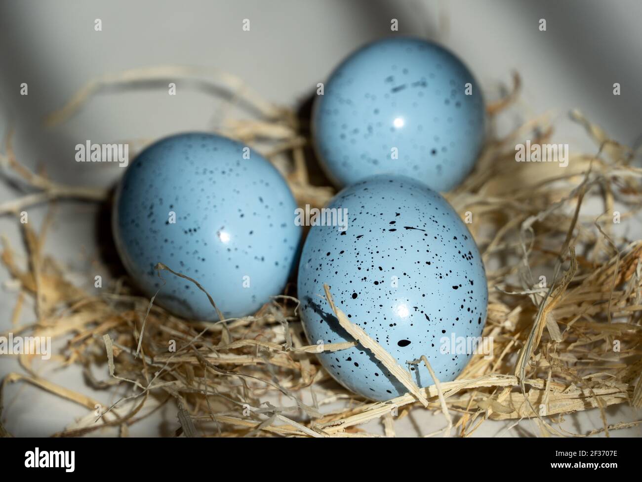 Oeuf bleu de Pâques avec le foin, beau fond avec des ombres Banque D'Images