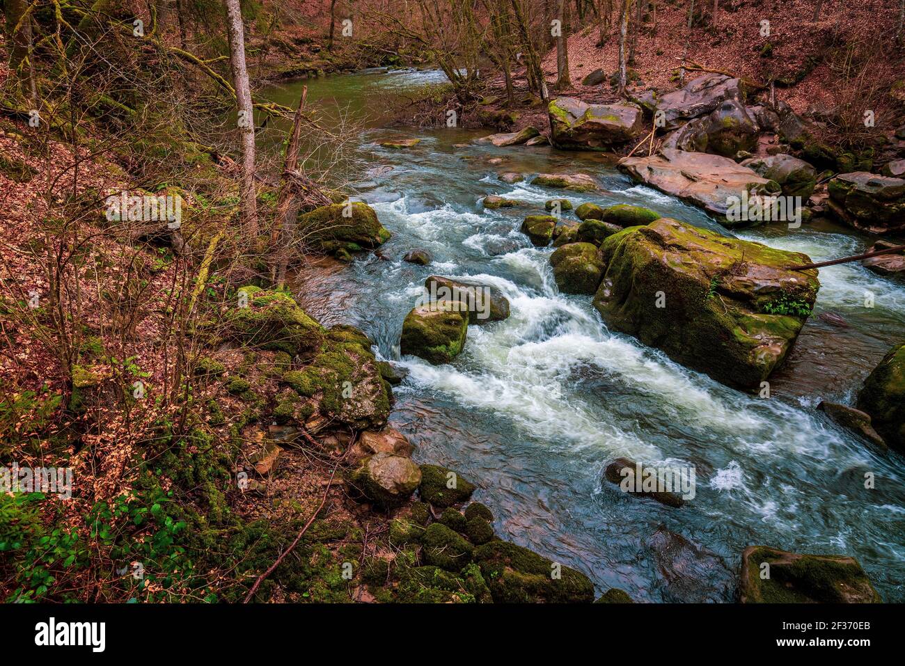 Les cascades d'Irrel du Prüm. Les rapides dans les tronçons inférieurs du Prüm près d'Irrel dans l'Eifel, Allemagne. Banque D'Images