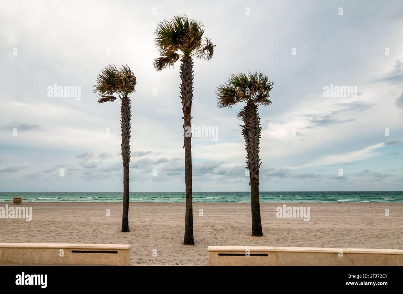 Hollywood Beach Broadwalk, une promenade le long de l'océan Atlantique, Floride Banque D'Images