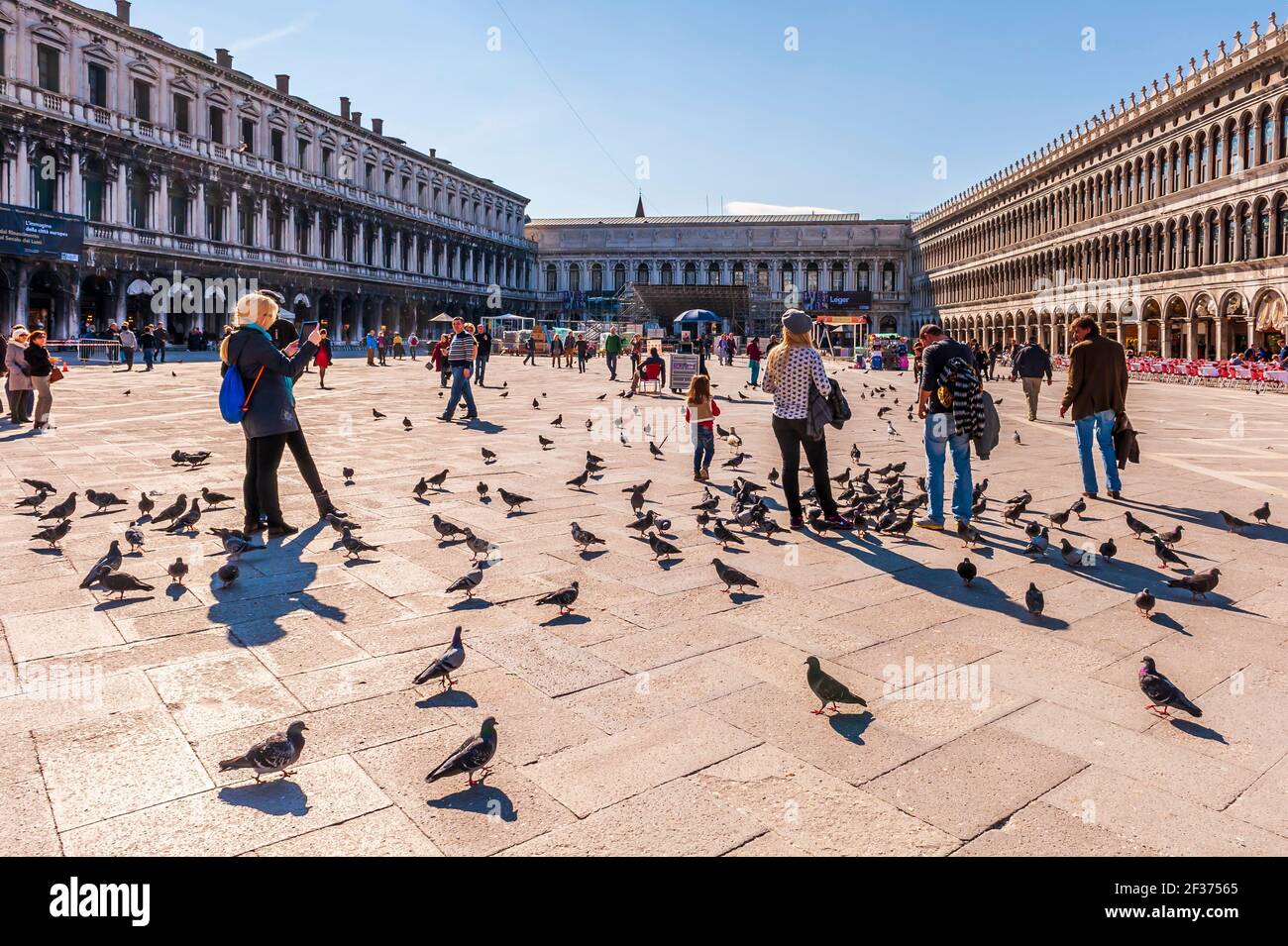 Place Saint-Marc, touristes et pigeons à Venise en Vénétie, Italie Banque D'Images