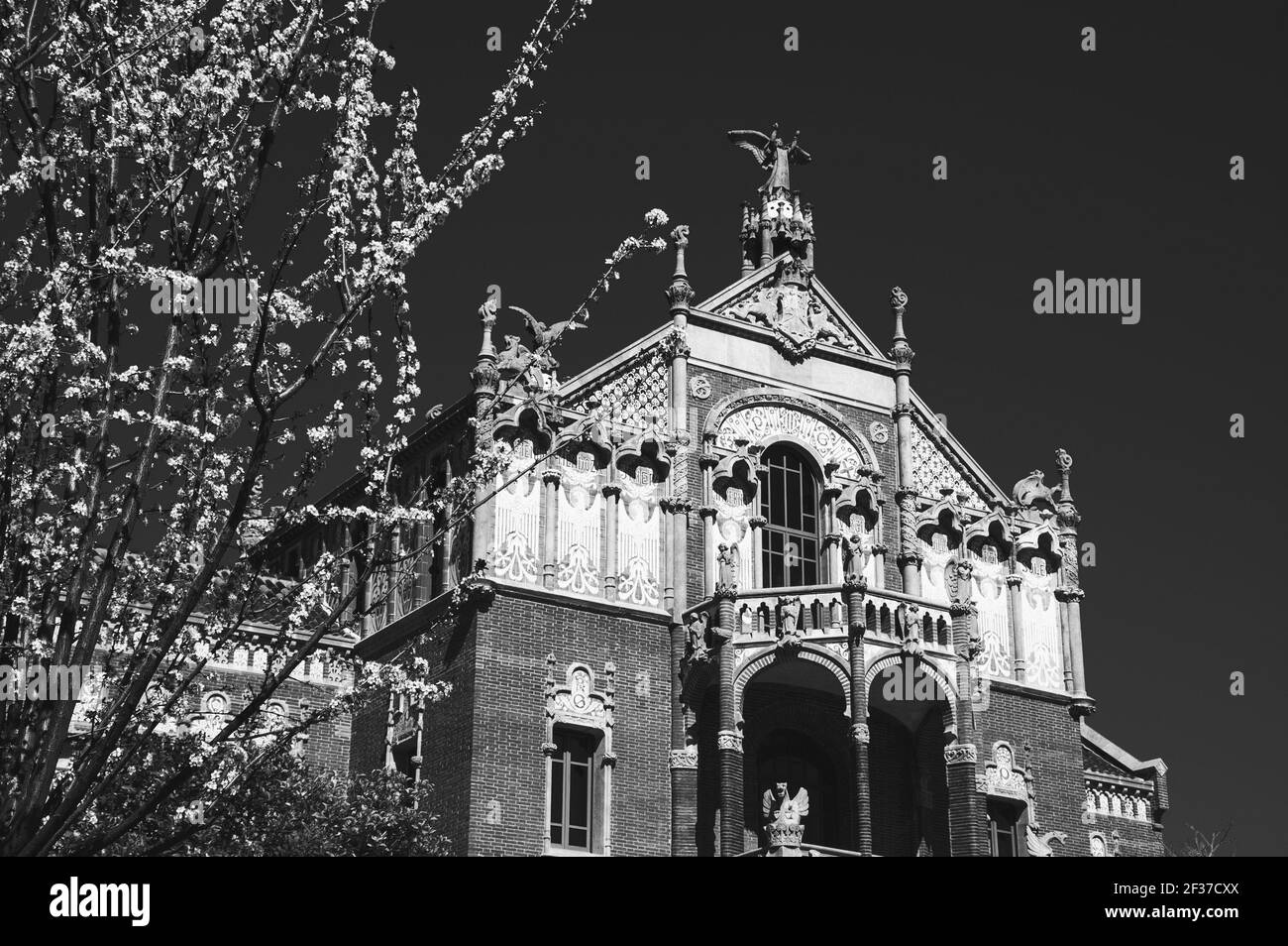 Barcelone, Catalogne, Espagne. Déplacement au printemps. Hôpital de Sant Pau, célèbre monument moderniste. Arbre en fleurs. Photo historique noir blanc Banque D'Images