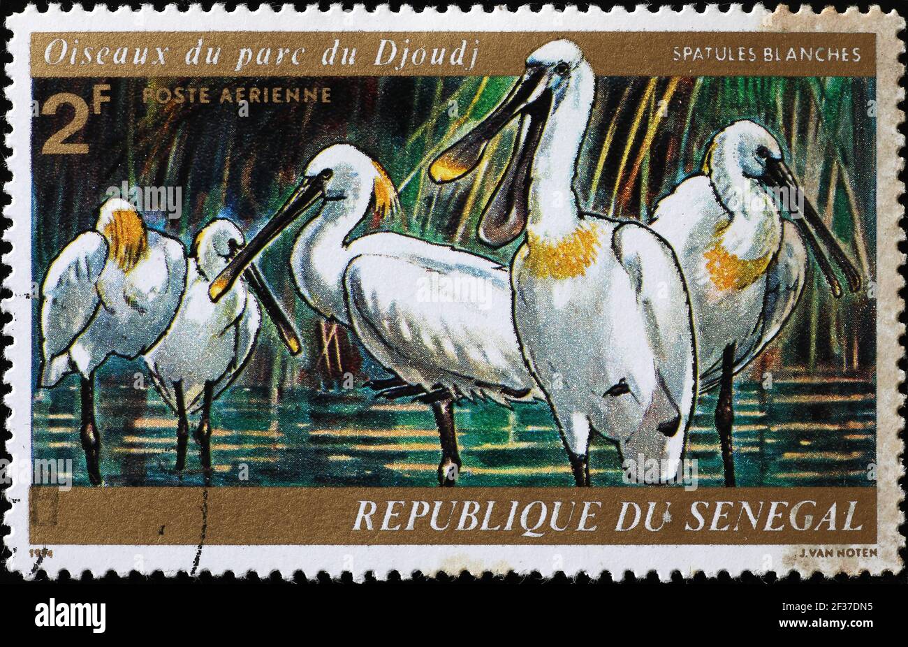 Les spatules eurasiennes sur le timbre-poste africain Banque D'Images