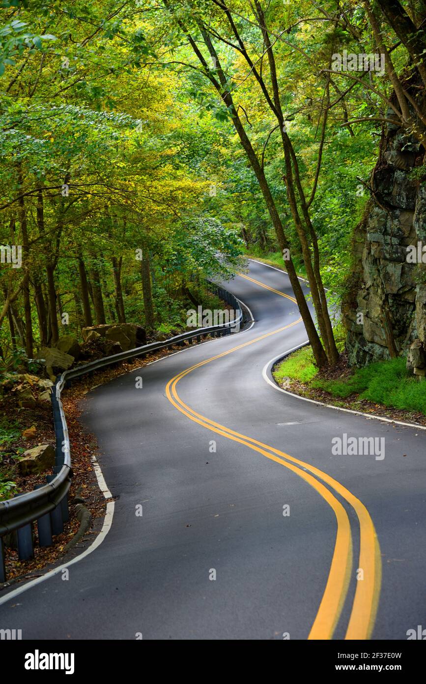 Une route étroite sinueuse et sinueuse monte sur Bays Mountain à Kingsport,  Tennessee. Tunnel de vert entoure la route Photo Stock - Alamy