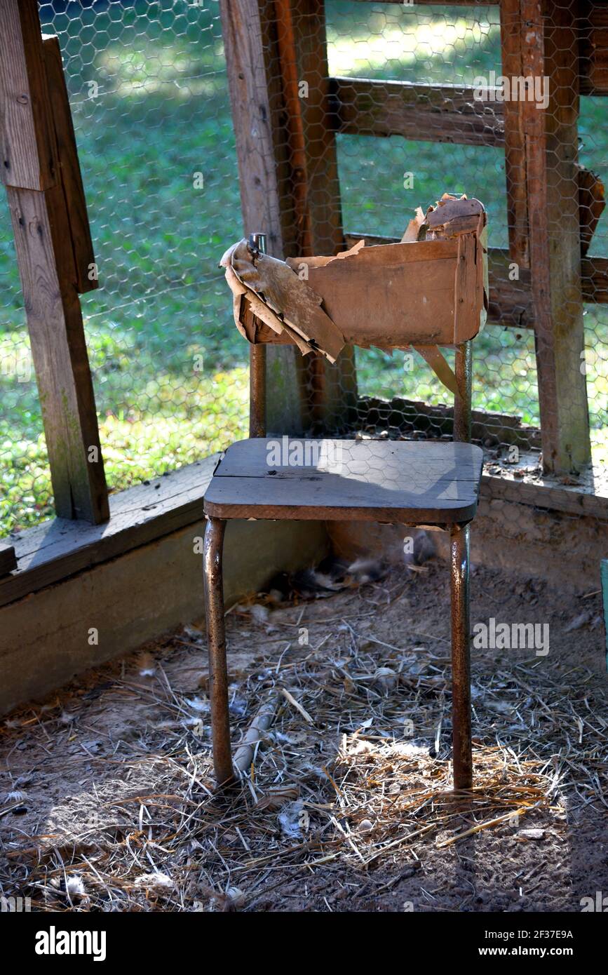 Une chaise en métal rouillé et en bois délabrée et cassée a été mise au rebut. Il est assis dans le putsch de poulet avec tenon de sellerie et chaise arrière br Banque D'Images