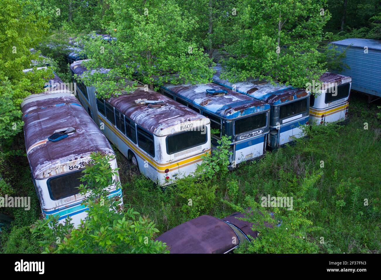 Bus abandonnés dans OverGrown Forest, dans le Tennessee rural Banque D'Images