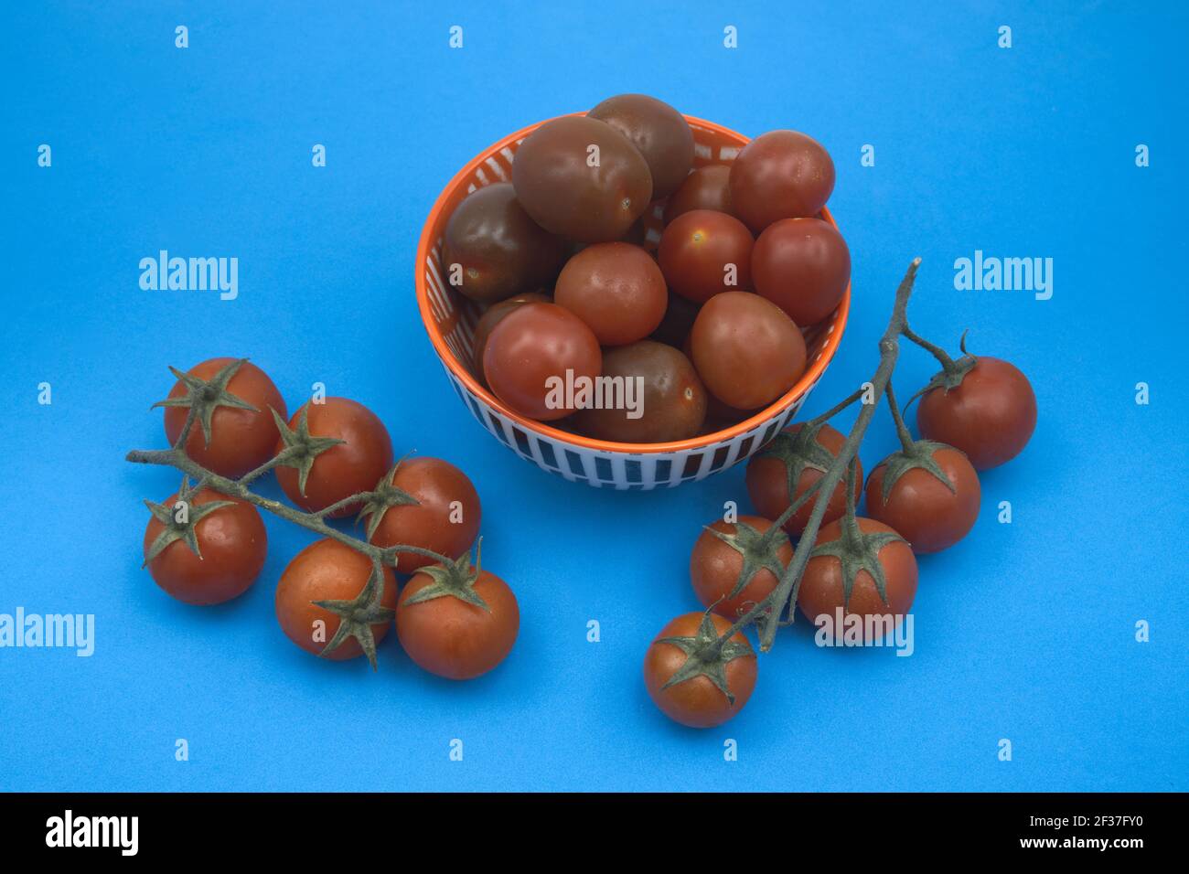 Encore la vie de quelques tomates cerises de différentes variétés, sur la branche, type poire, kumato, rond sur fond bleu neutre Banque D'Images