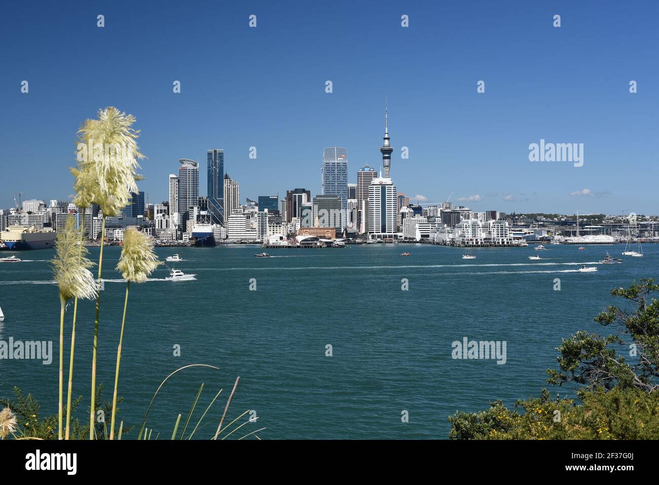 Auckland City Cityscape depuis Devonport pendant la coupe de l'Amérique ciel bleu sans nuages, eau bleue avec l'herbe de Pampas et bateaux sur l'eau. Sans nuages Banque D'Images