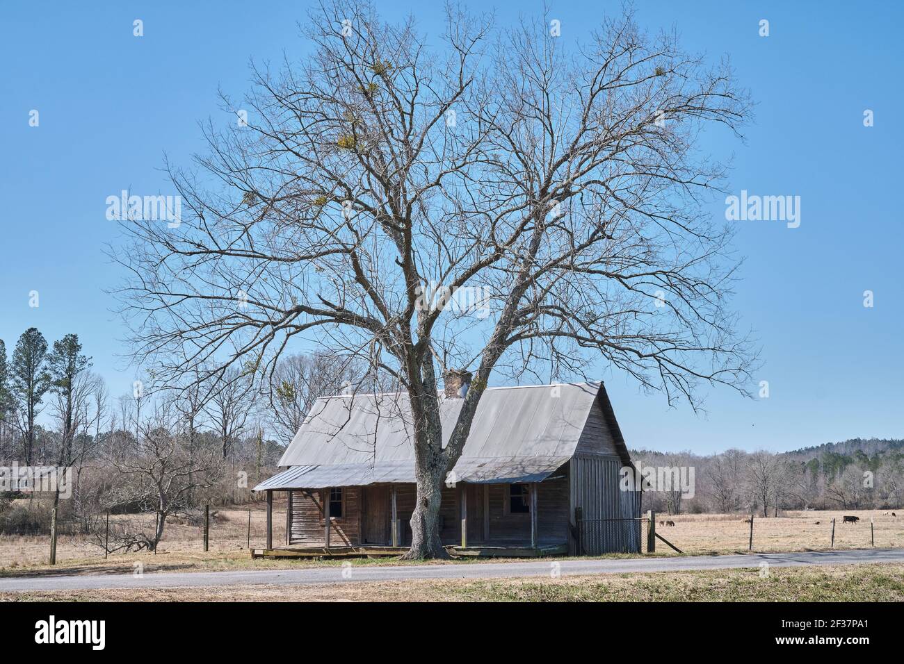 Ancien chalet en bois de pionnier abandonné avec une véranda couverte, dans la campagne de l'Alabama, États-Unis. Banque D'Images