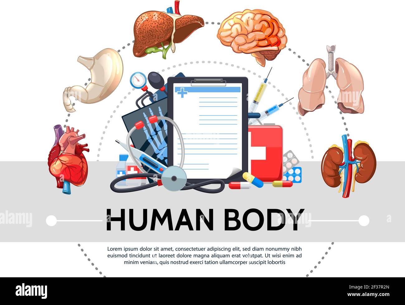 Dessin animé éléments de santé autour de concept avec les organes internes humains presse-papiers pilules kit médical tonomètre stéthoscope thermomètre seringues isolées v Illustration de Vecteur