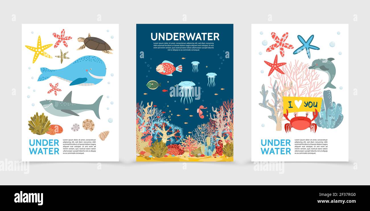 Brochures de vie sous-marine plates et colorées avec requin tortue de poisson méduse cheval de mer étoile de mer crabe dauphin coraux algues vecteur isolé illustrateur Illustration de Vecteur