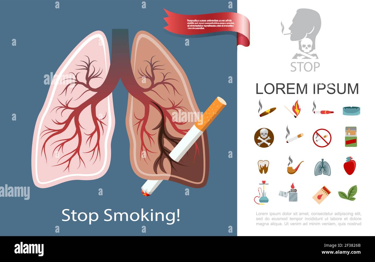 Composition de dpendance de tabagisme  plat avec fumeur poumons cigarettes  pipe de cigare cendrier assorti au tabac de narguah laisse plus lger coeur  malade dent vecteur illus Image Vectorielle Stock -