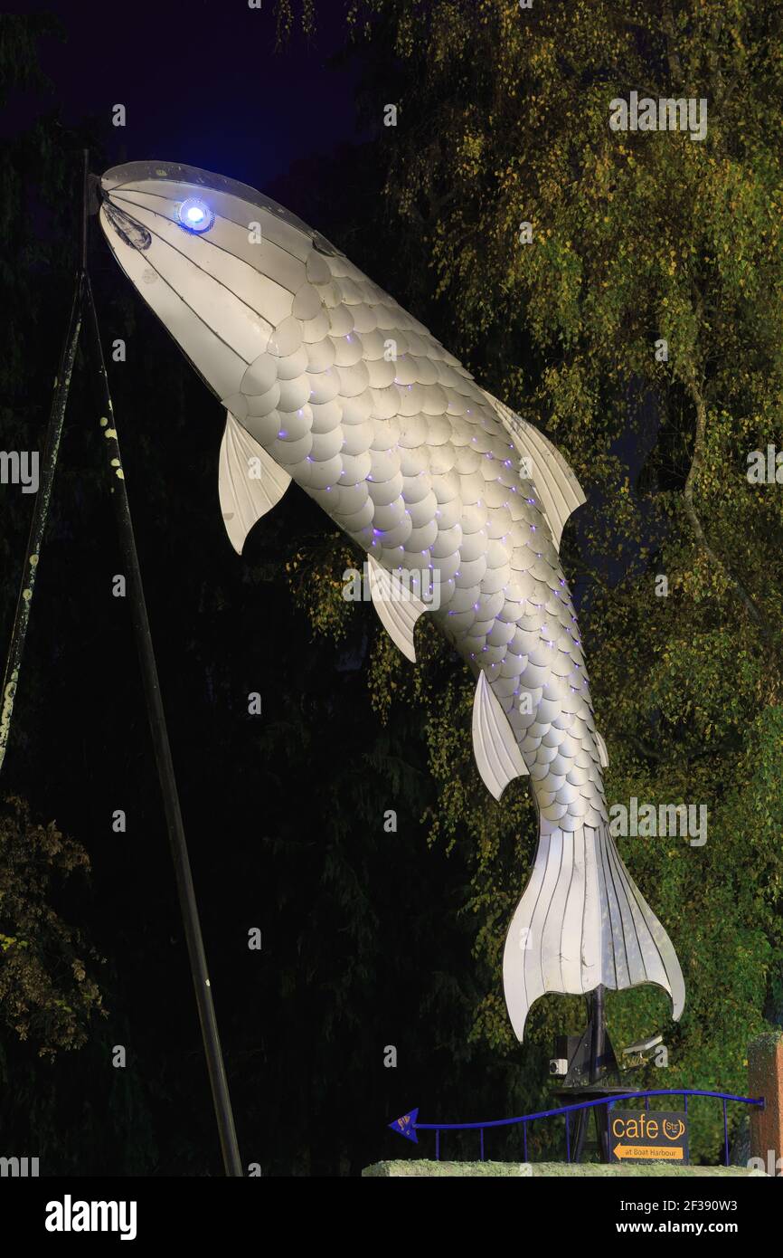 La 'Big Metal Trout', une sculpture de Taupo, en Nouvelle-Zélande, une ville célèbre pour sa pêche à la truite Banque D'Images