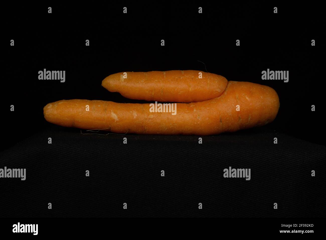 une carotte orange déformée isolée sur un fond noir Banque D'Images