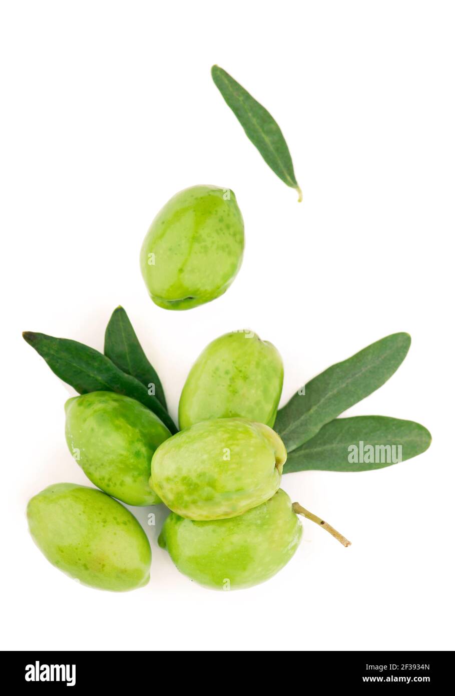 Fruits et feuilles d'olive sur un fond blanc. Banque D'Images